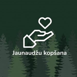 Jaunaudžu kopšana